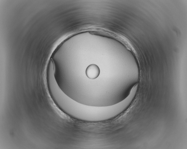 X0000111001098200907171808