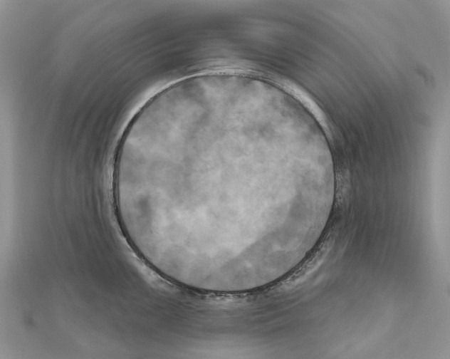 X0000111001099200907171808