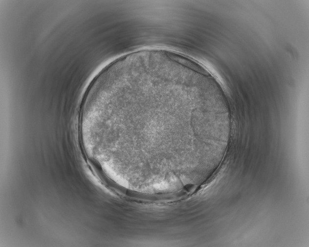 X0000111001100200907171808