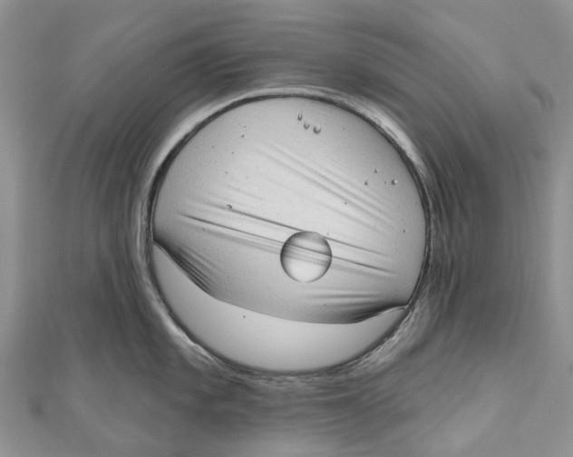 X0000111001101200907171808