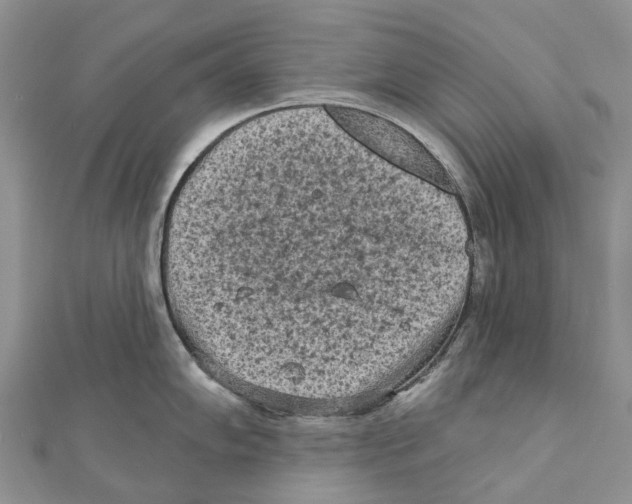 X0000111001102200907171808