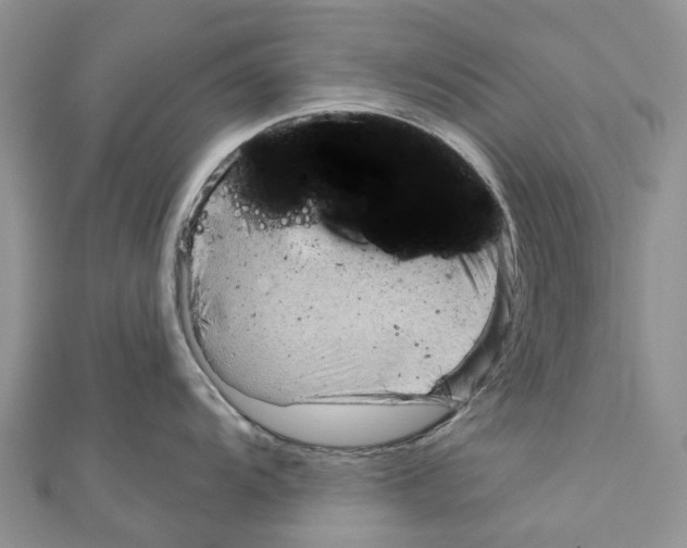 X0000111001104200907171808