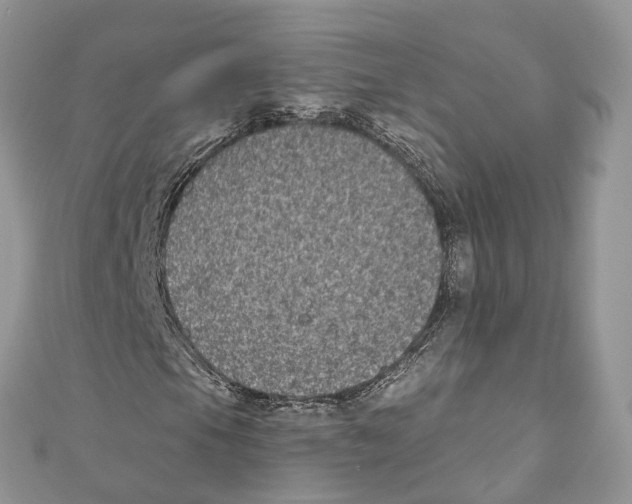 X0000111001105200907171807