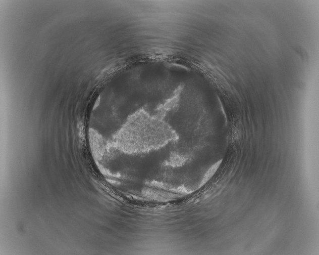 X0000111001106200907171807