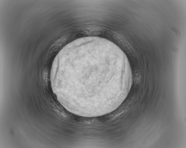 X0000111001108200907171807