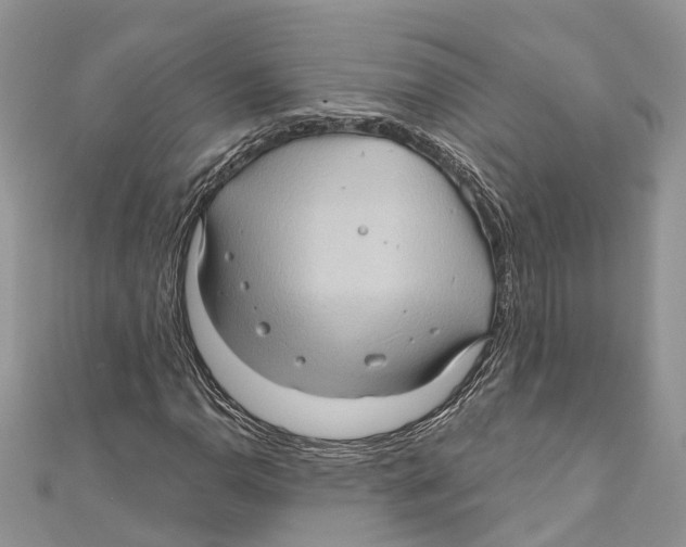 X0000111001110200907171807