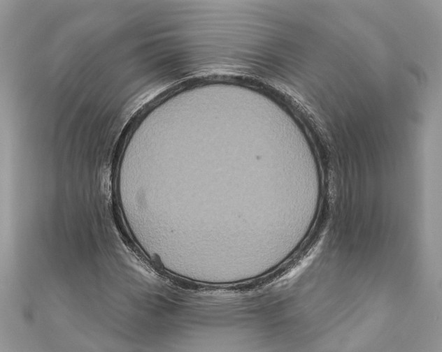 X0000111001113200907171807