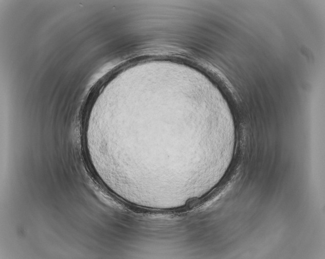 X0000111001114200907171807