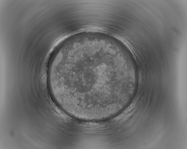 X0000111001115200907171807