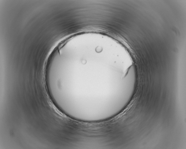 X0000111001116200907171807