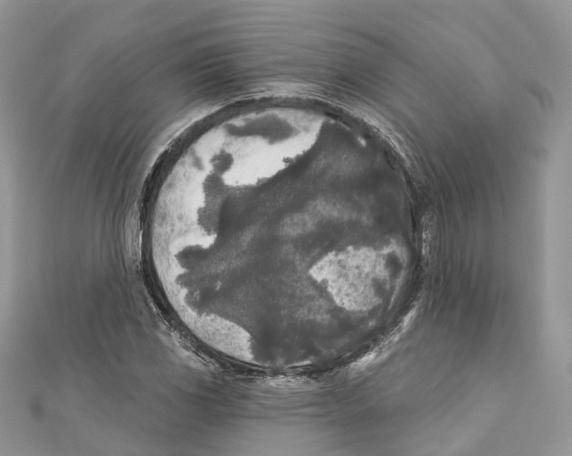 X0000111001117200907171807