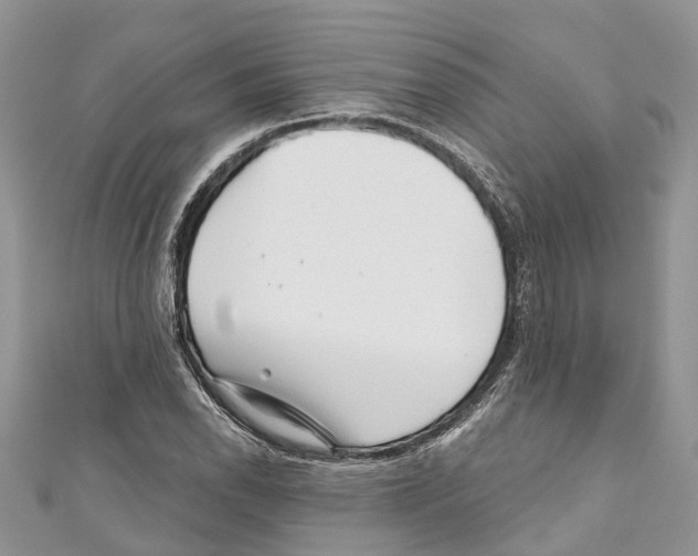 X0000111001118200907171807