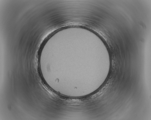 X0000111001119200907171807