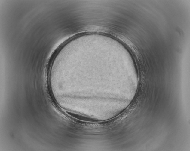 X0000111001120200907171807