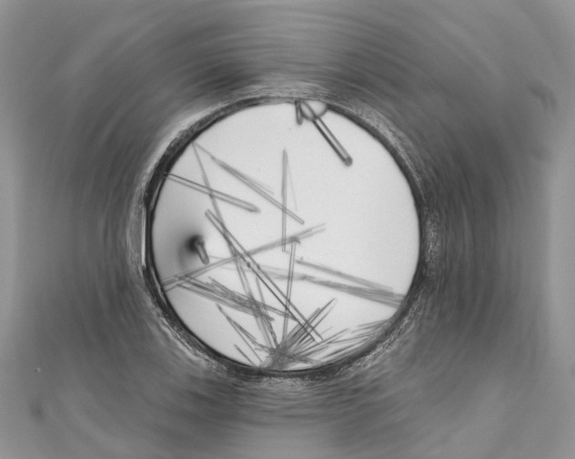 X0000111001123200907171807