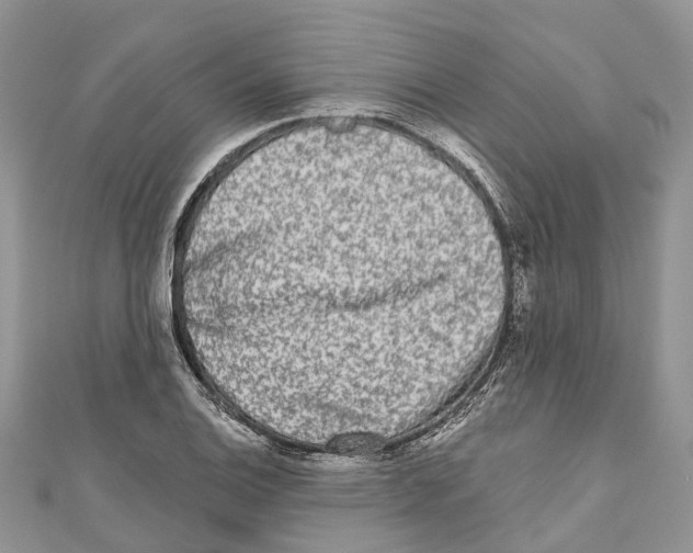 X0000111001124200907171807