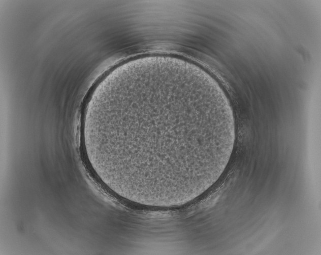 X0000111001126200907171807