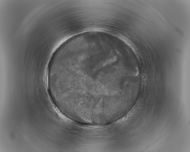 X0000111001127200907171807