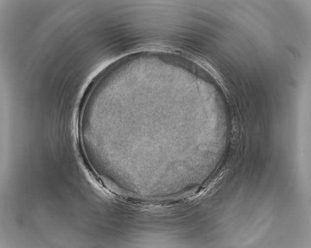 X0000111001128200907171807