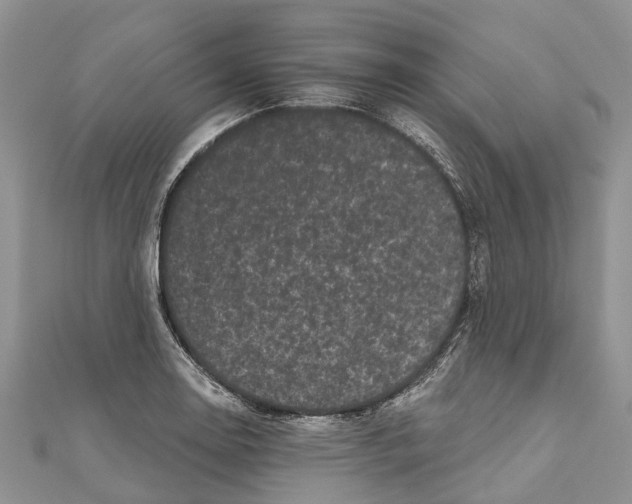 X0000111001130200907171807