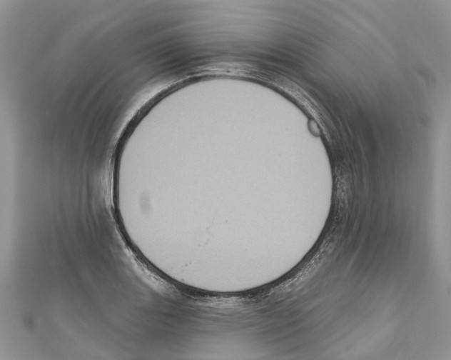 X0000111001131200907171807