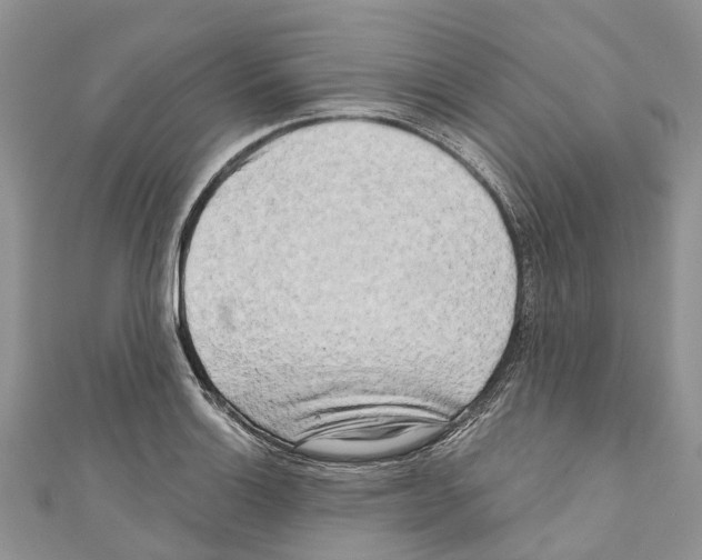 X0000111001132200907171807