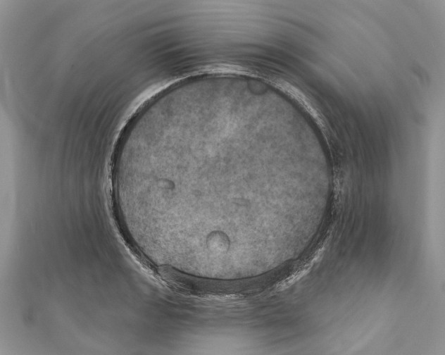 X0000111001133200907171807