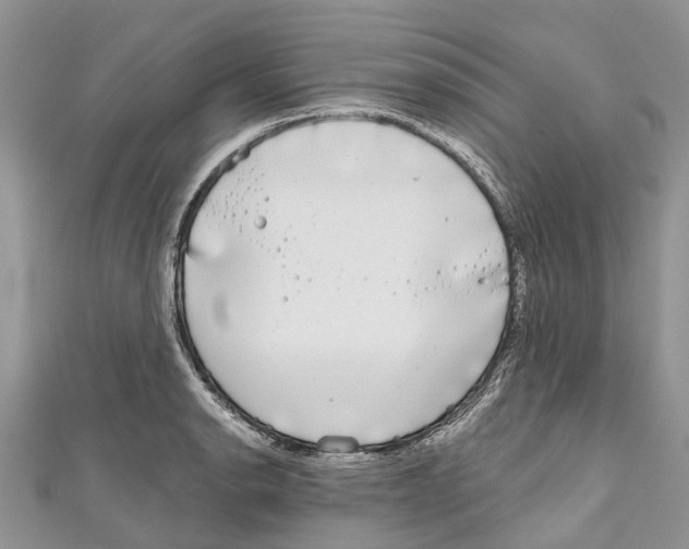 X0000111001134200907171807