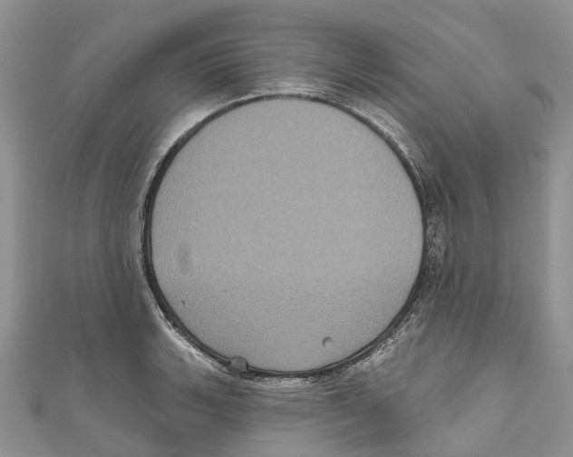 X0000111001135200907171808