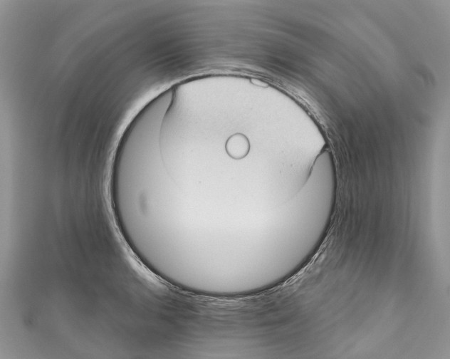 X0000111001136200907171808