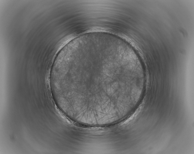 X0000111001137200907171808