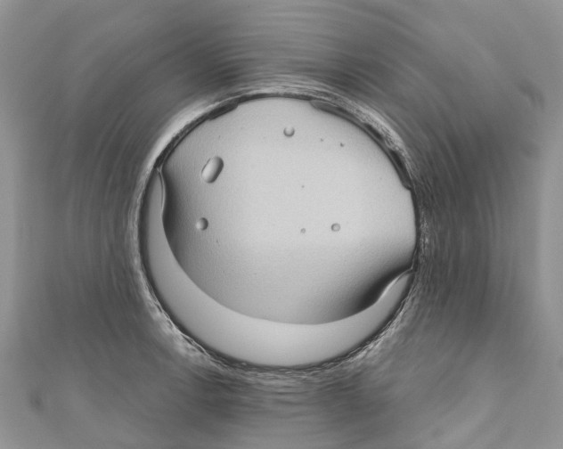 X0000111001138200907171808