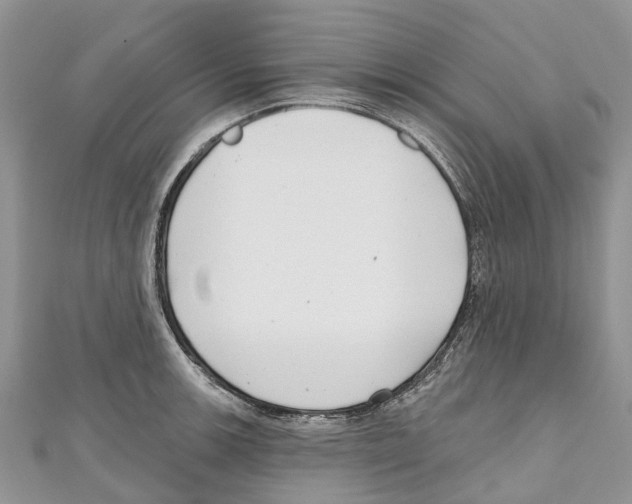 X0000111001139200907171808