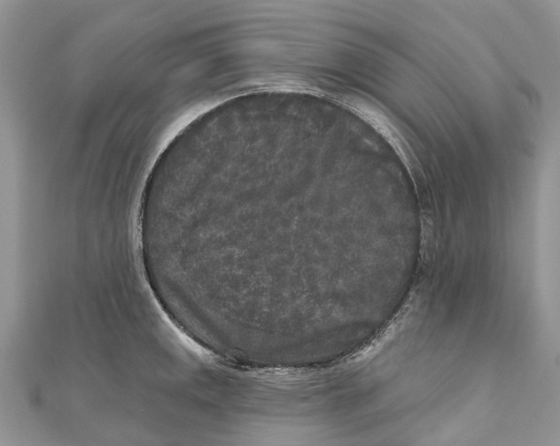 X0000111001141200907171808