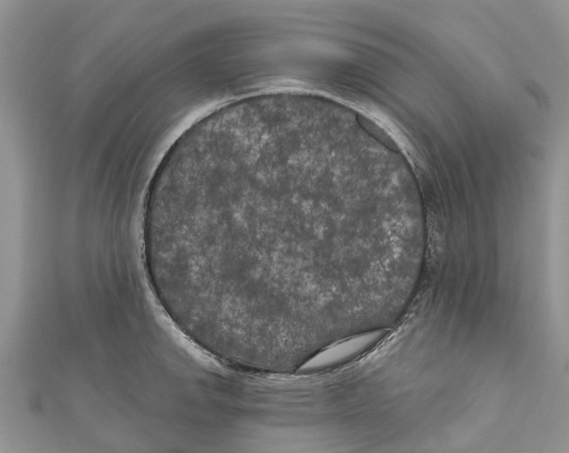 X0000111001142200907171808