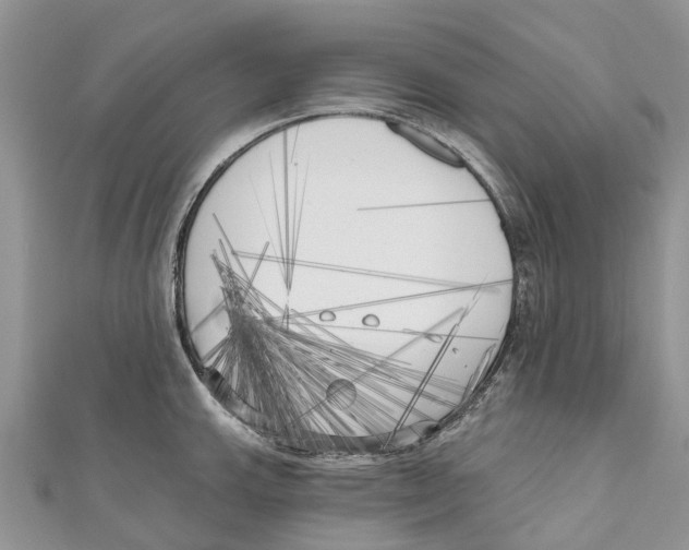 X0000111001143200907171808