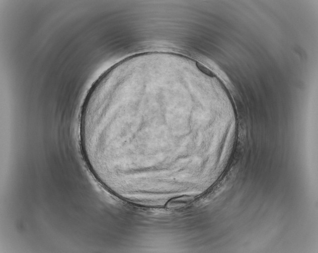 X0000111001144200907171808