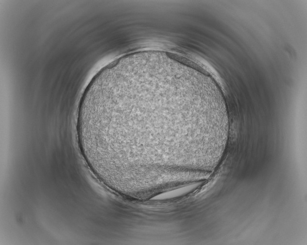 X0000111001146200907171808