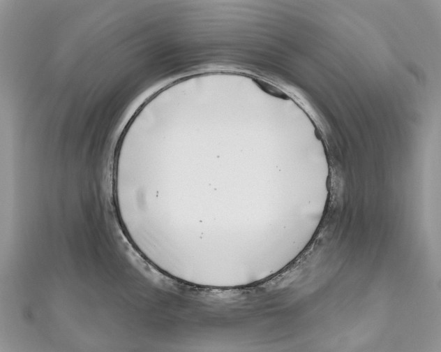 X0000111001148200907171808