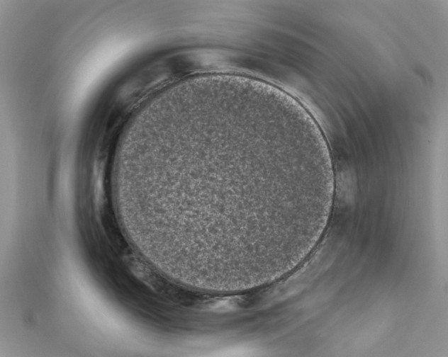 X0000111001150200907171808