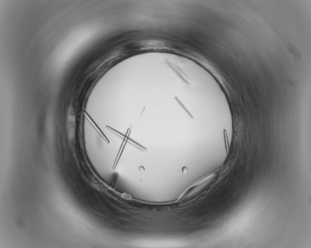 X0000111001151200907171808