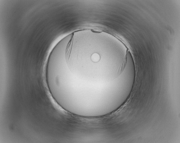 X0000111001152200907171808