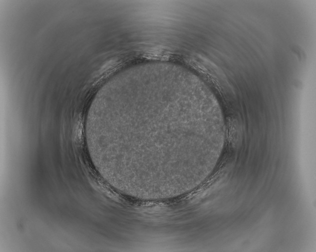 X0000111001154200907171807