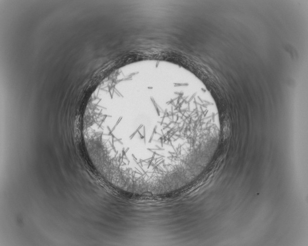 X0000111001156200907171807