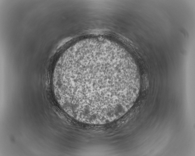 X0000111001158200907171807