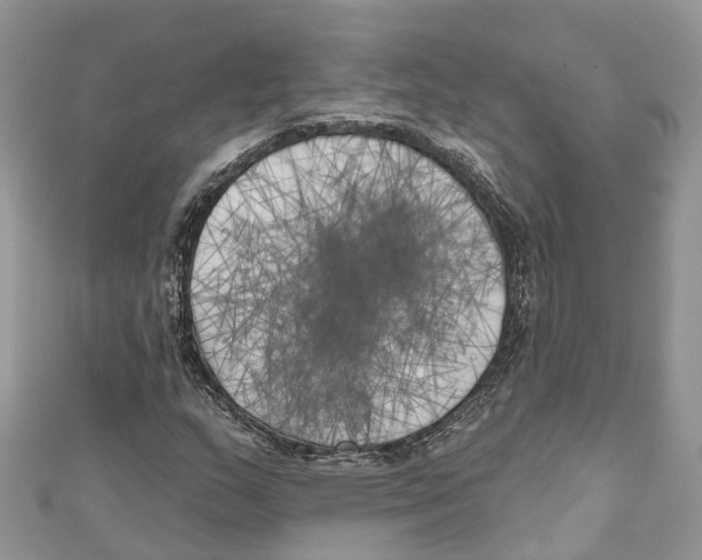 X0000111001159200907171807