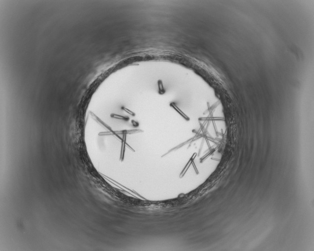 X0000111001160200907171807