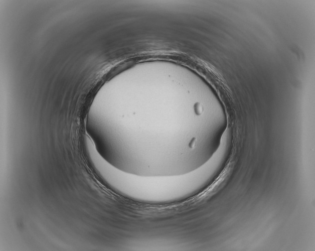 X0000111001161200907171807