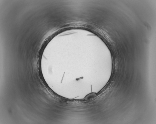 X0000111001164200907171807