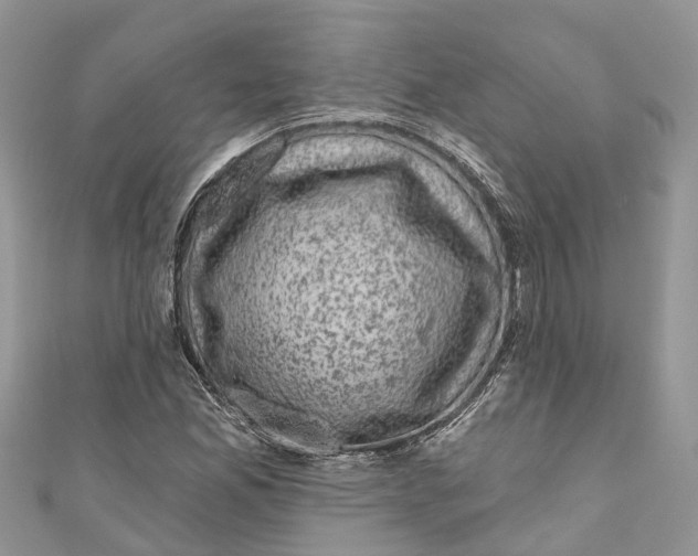 X0000111001165200907171807